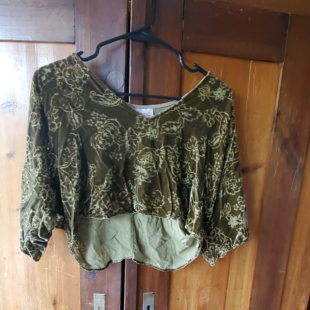 VINTAGE Style Burn out Green Velvet Crop Top
